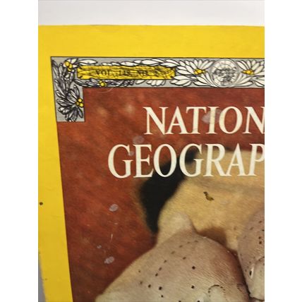 National Geographic Magazine September 1975 Red Sea Reefs - Vintage Collectable