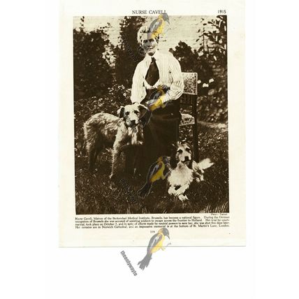 Nurse Edith Cavell, Shot In Belgium 1915, Book Illustration (Print), 1935