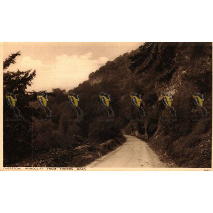 Chepstow, Wyndcliff from Tintern Road, Photochrom Postcard, 1910/20s