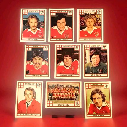 Panini Football 78 Bristol City Recovered Stickers - BUNDLE of 9