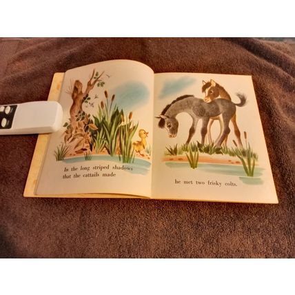 Little Golden Book The Fuzzy Duckling (A) Edition 7.0 FN/VF By Jane Werner 1949