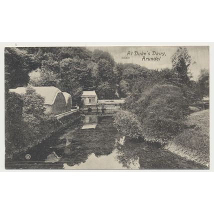 ARUNDEL At Duke's Dairy W Sussex early 20th C. RPPC Valentines 62568