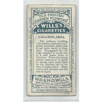 Willis cigarettes ' CALCEOLARIA ' vintage card