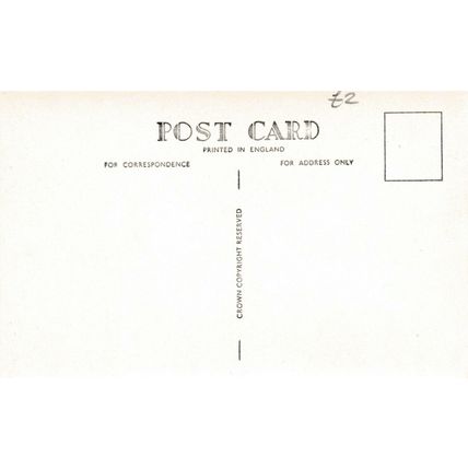 Donkeys Christchurch Castle Postcard Unused VGC