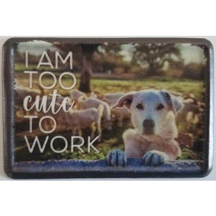 I am Too Cute To Work Metal Fridge Magnet