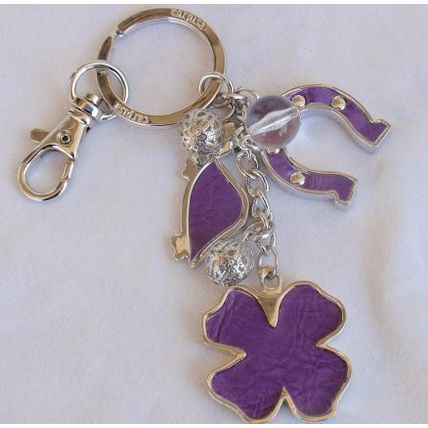Keyholder charms purple Carpisa
