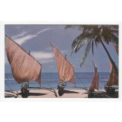 Fishing Boats Ceylon Postcard CP8