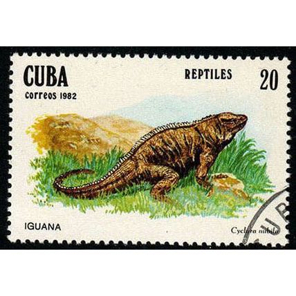 Cuba 1982 Reptiles 20c Used Stamp..