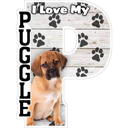 I Love My Puggle Fridge Magnet