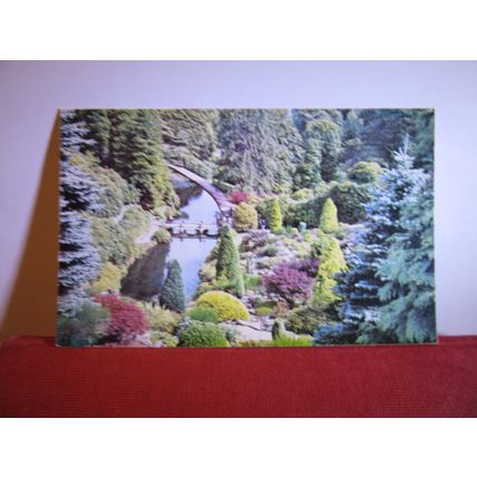 ALTON TOWERS, STAFFORDSHIRE unused vintage postcard by D.V.P. =