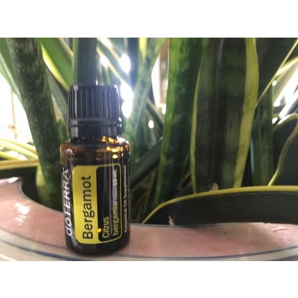 doTERRA Bergamot 15 mL Essential Oil NEW & SEALED Exp 11/27