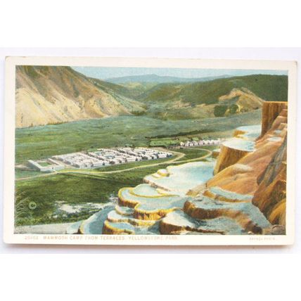 vintage postcard Mammoth Camp, Yellowstone Park