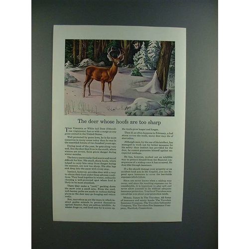 1945 Travelers Insurance Ad w/ Virginia White Tail Deer