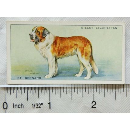 1937 Wills Dogs No. 27 St. Bernard