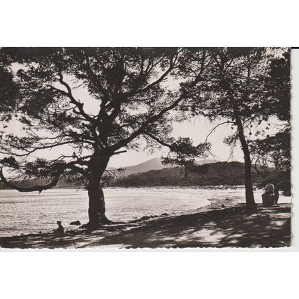 (83) LE LAVANDOU Plage de la Favterre - Collection LEMAIRE