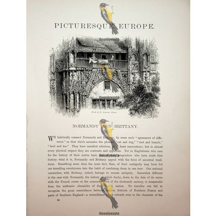 St Laurens Porch, Rouen, France, Book Illustration (Print), c1875