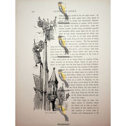 Masts Of Fishing Boats, Venice, Italy (More, Reverse), Book Illustration, c1875