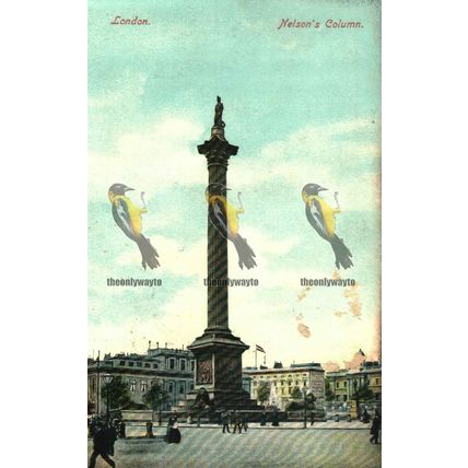 Nelson's Column, London, 815 Empire Series, Postcard, 1905