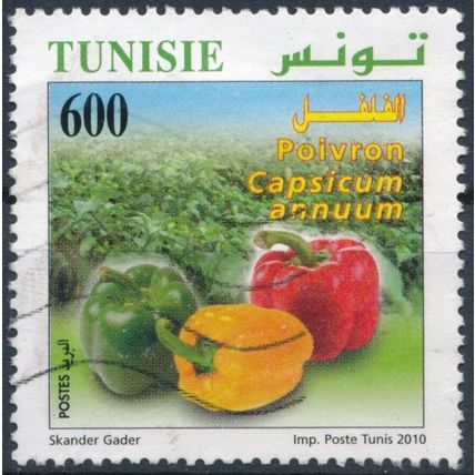 Organic Farming: 600m - Tunisia 2010 - F H - MiNr 1739