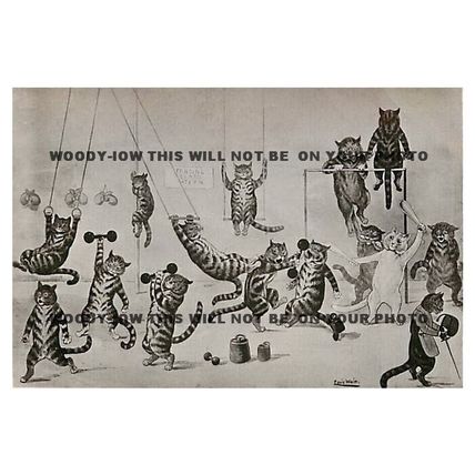 rp10206 - Louis Wain Cats - The Gym - print 6x4