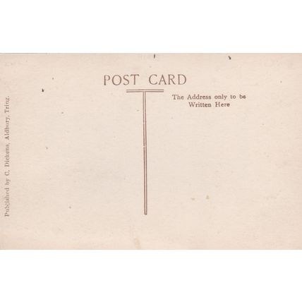ED31 ALDBURY - OLD STOCKS AND WHIPPING POST. RP POSTCARD