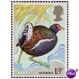 Great Britain 1980 Wild Birds 13p Moorhen Unmounted Mint NHM 2 SG 1111 Sc 886