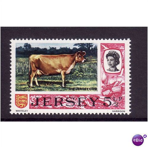 JERSEY 1974 SG 50a 5 1/2d JERSEY COW U/M MINT