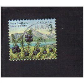 1991 canada black crowberry 3c f/u sg1462
