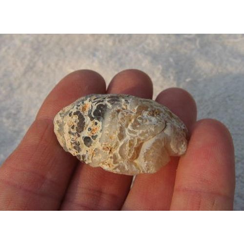 Ocho Geode Crystal Gemstone Spiritual Metaphysical Meditation 1.5 Inch