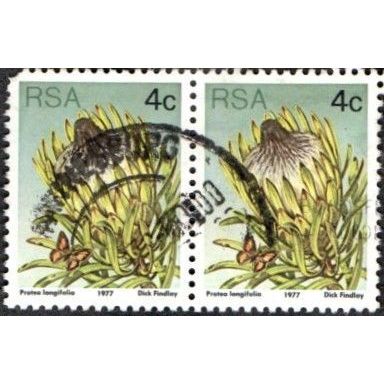 South Africa. 1977 4c Value. Protea Longifolia. Fine Used Pair
