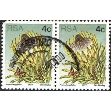 South Africa. 1977 4c Value. Protea Longifolia. Fine Used Pair