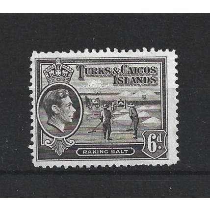 Turks&Caicos.SG201a 6d Raking Salt (Sepia).Mounted Mint.Aug24a