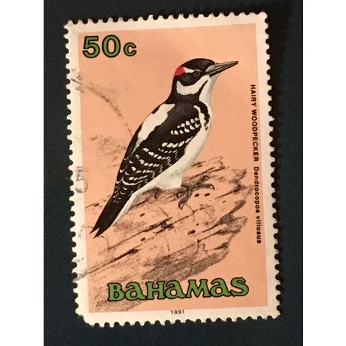 Bahamas QEII 1991 Birds 50c Hairy Woodpecker Used SG 900 Sc 717 postage stamp