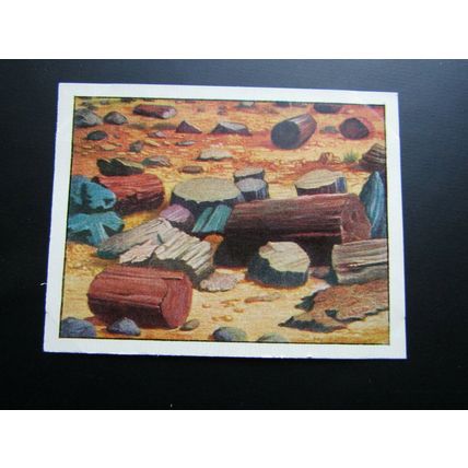 J. Bibby & Sons Cooking Fat 1955 This Wonderful World Card Variants (e31)