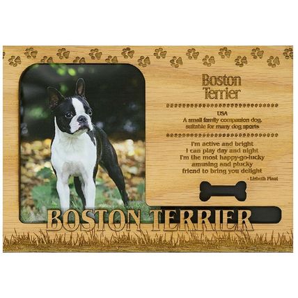 Boston Terrier Engraved Wood Picture Frame Magnet