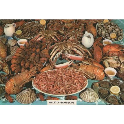 Galicia Mariscos Spanish Fish Seafood Restaurant Postcard