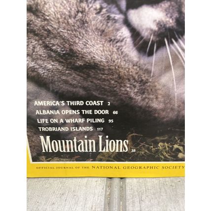 National Geographic Magazine July 1992 Mountain Lions - Vintage Collectable