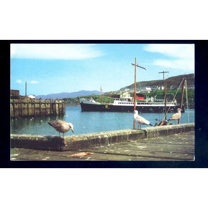 f2695 - Ferry - Loch Seaforth - by Mallaig Pier & Harbour - postcard