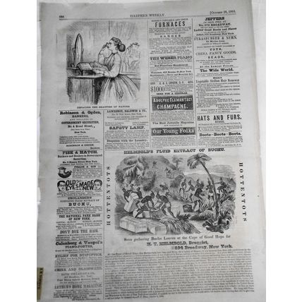 Defacing the Beauties of Nature - Harper's Weekly October 28, 1865. [Cosmetics]