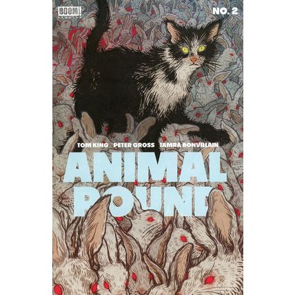 Animal Pound: #2 Yuko Shimizu BOOM! STUDIOS