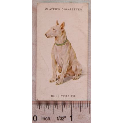 1931 John Player & Sons Dogs No. 40 Bull Terrier