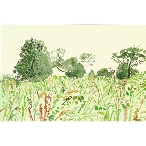 01530 00015: 'Tangled Bank and Trees. East Yorkshire,' 2004 (David Hockney).
