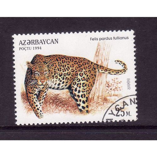 AZERBAIJAN 1994 WILDCATS SG198 25M LEOPARD FINE USED
