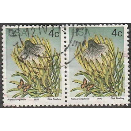 South Africa. 1977 4c Value. Protea Longifolia. Fine Used Pair