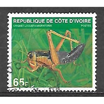 Cote D'Ivoire N° 508E YVERT OBLITERE ( USED )