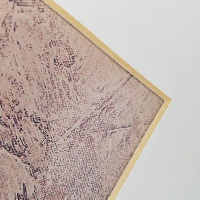 Tiger Print Matted and Wood Framed 23" X 19" Stripes Wall Sturdy Map Africa