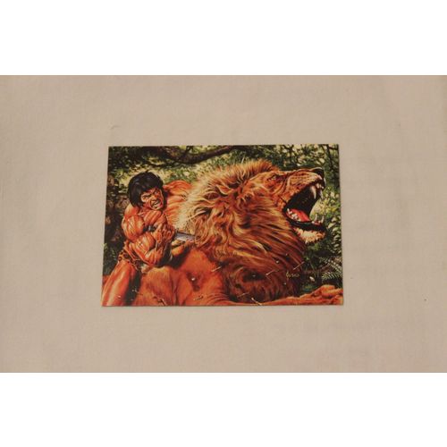 1994 FPG Joe Jusko's Edgar Rice Burroughs Collection Promo NO. P4