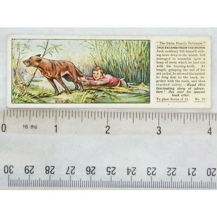 1935 Typhoo Swiss Family Robinson No. 16 Jack escapes from the Marsh