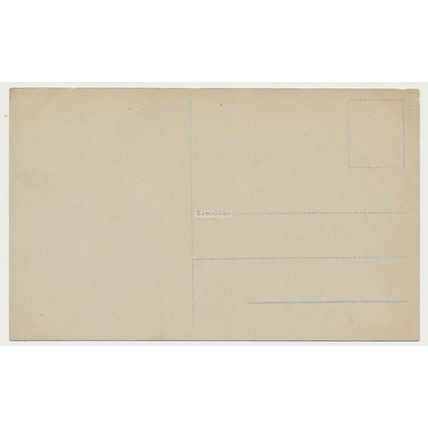 Norway Winter Snow in forest early 20th C. unused RPPC Mittet No. 136
