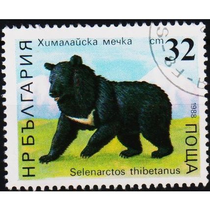 Bulgaria. 1988 32s S.G.3563 Used